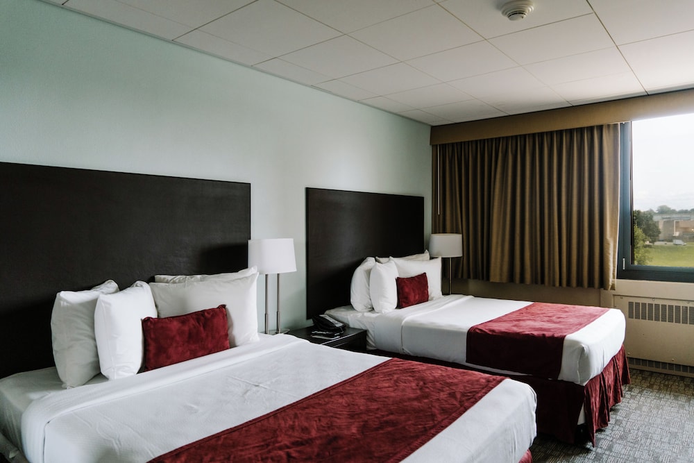 Standard Room, 2 Double Beds photo 2