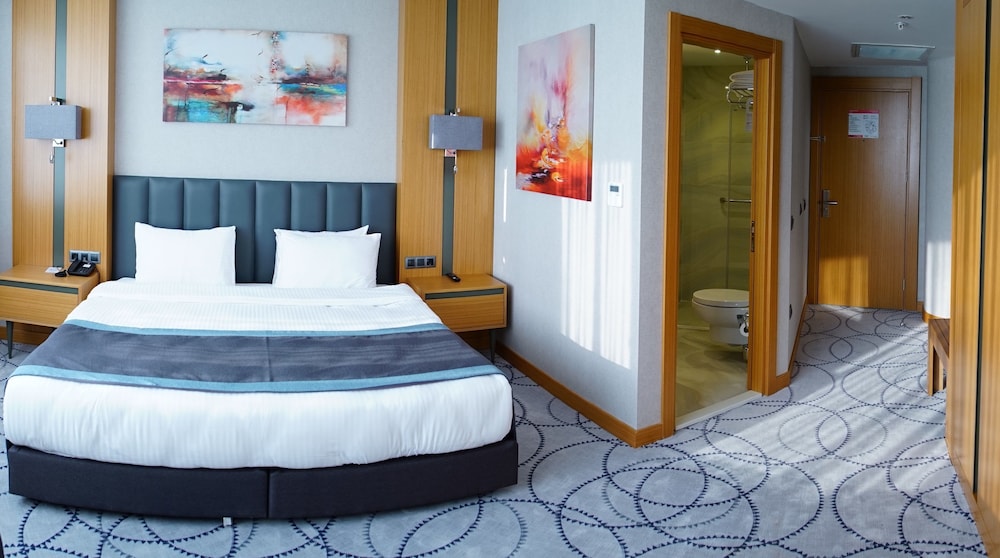 Room, 1 King Bed, Non Smoking photo 2