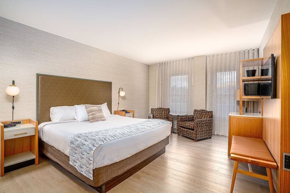 Basic Room, 1 King Bed photo 3
