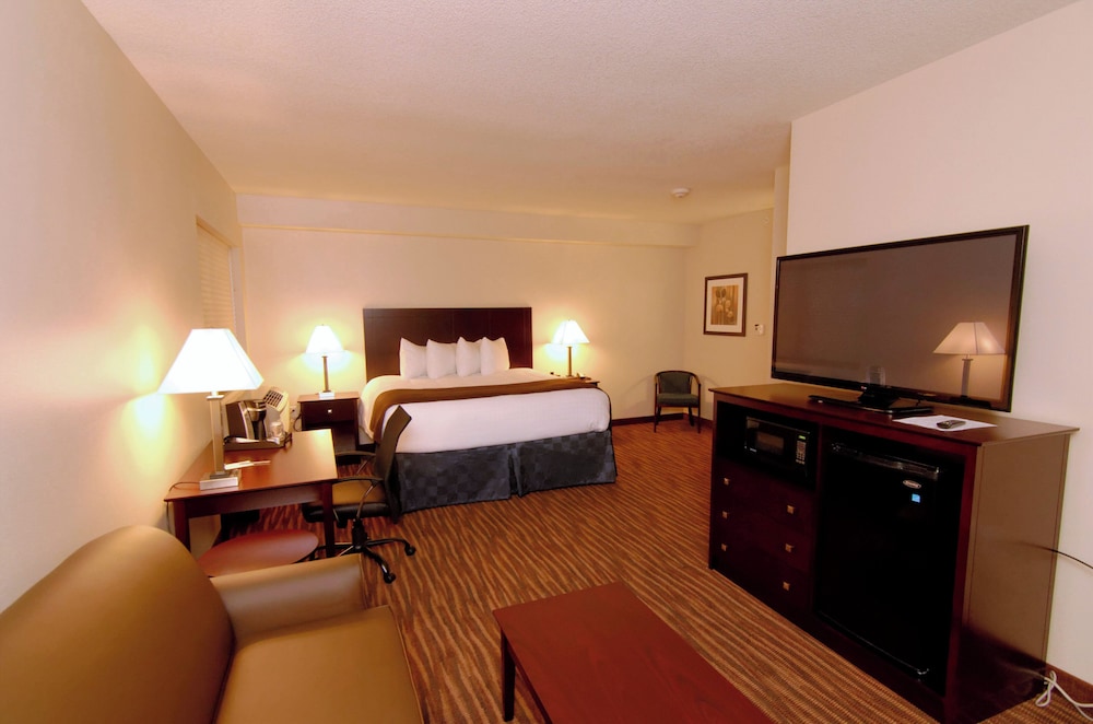 Suite, 1 King Bed, Non Smoking photo 1