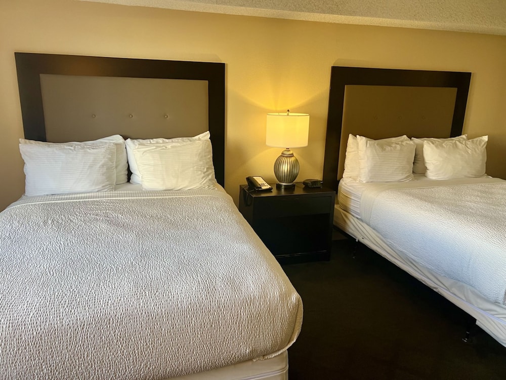 Deluxe 1 Bedroom 1 and a Half Bath Suite