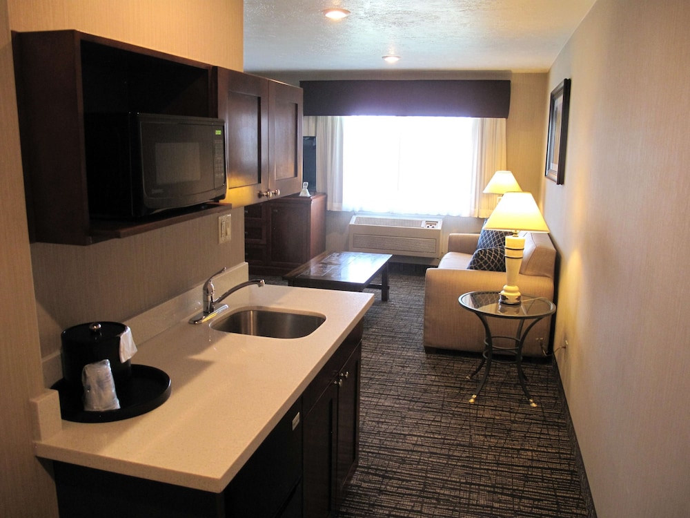 Executive Room, 1 King Bed, Non Smoking, Refrigerator & Microwave (With Sofabed) - Photo 2