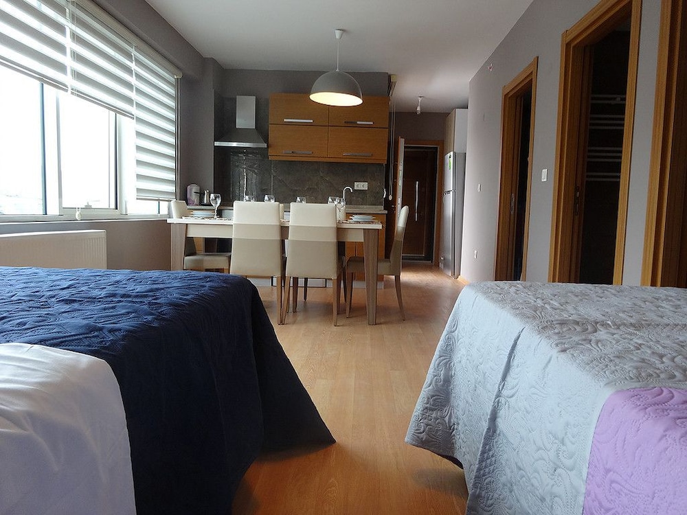 Apartment, 1 Bedroom photo 2