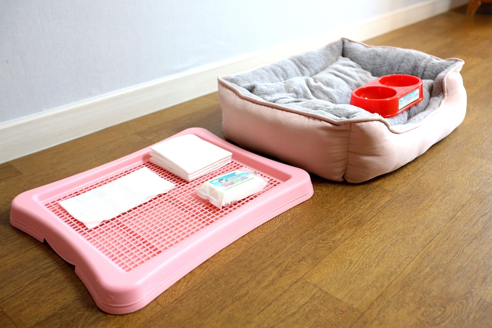 Standard Pet Room (34py) photo 2
