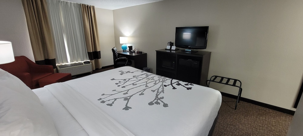 Standard Room, 1 King Bed, Non Smoking - Photo 3
