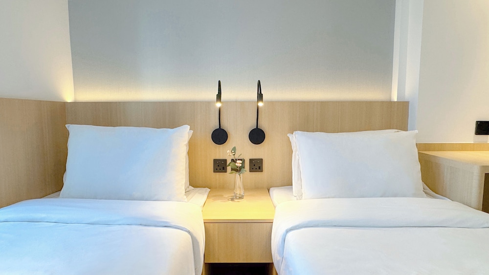 Cozy Twin Room
