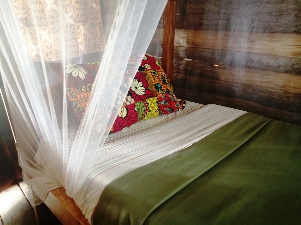 Shared Dormitory (Girls/Boys) photo 2