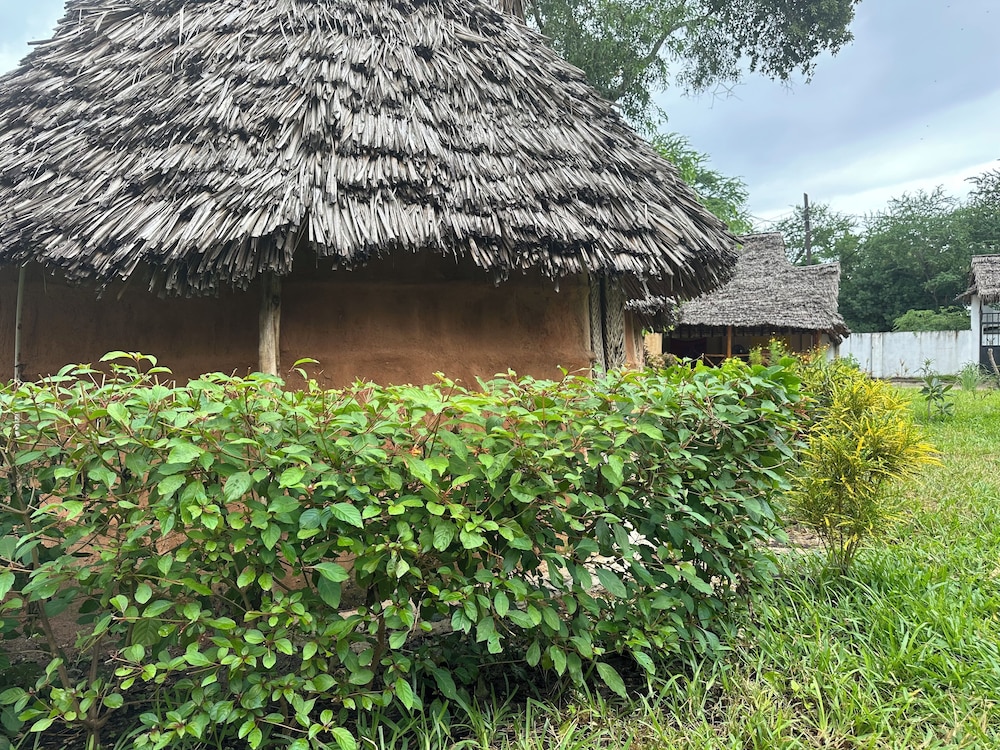 Basic Bungalow, Garden View