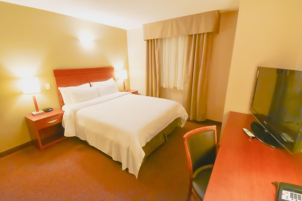 Business Suite photo 2