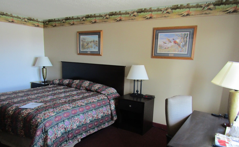 Basic Single Room, 1 King Bed