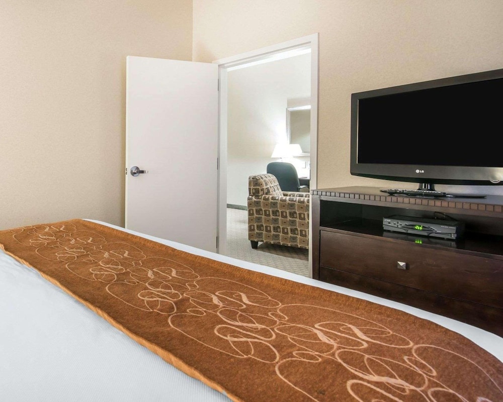 Suite, Non Smoking 1 King Bed Or 1 Double Sofa Bed (Snk 1) photo 1