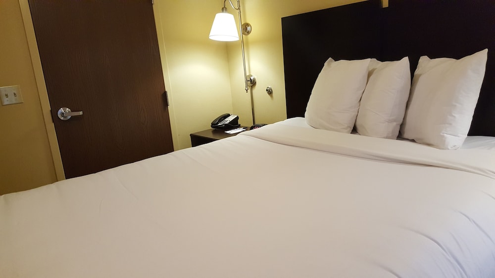 Studio, 1 Queen Bed with Sofa bed, Kitchen