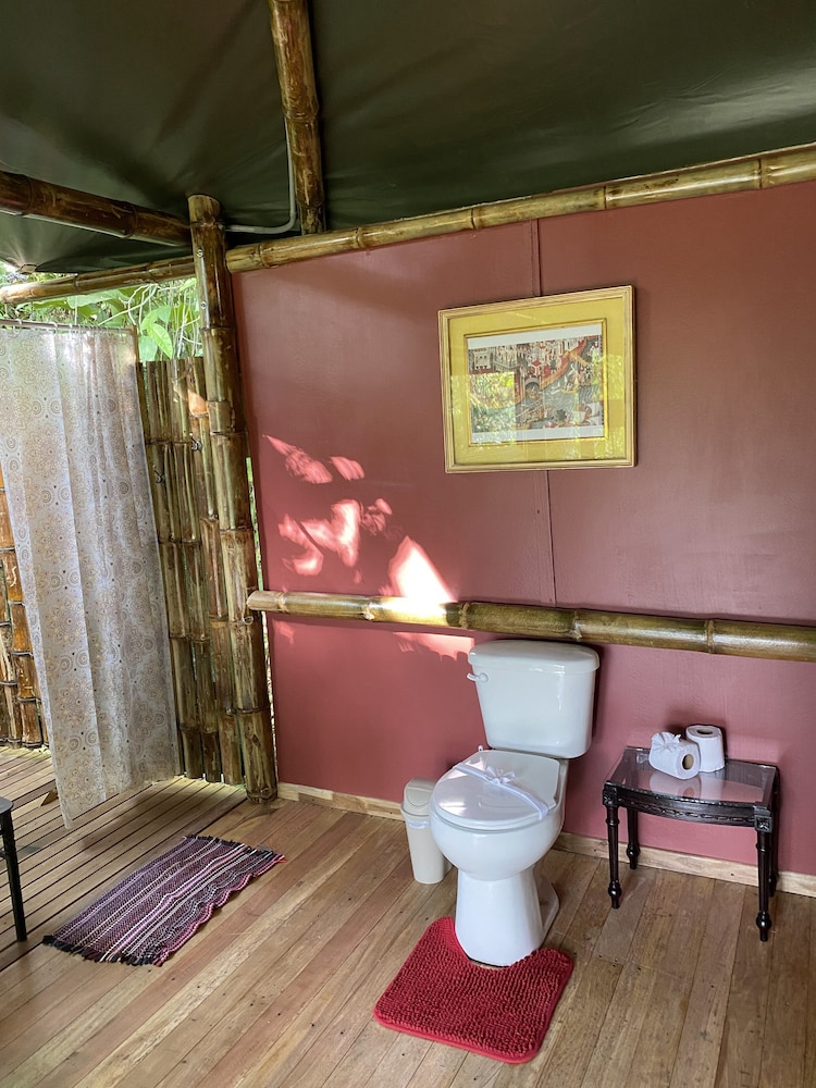 Design Tree House, Hill View photo 3