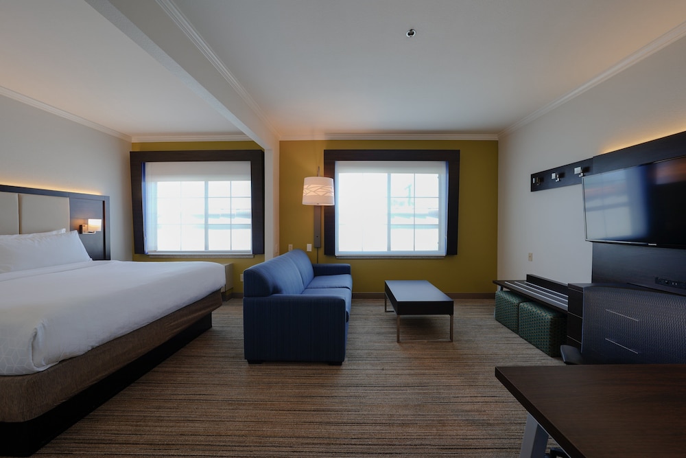 Suite, 1 King Bed - Photo 7