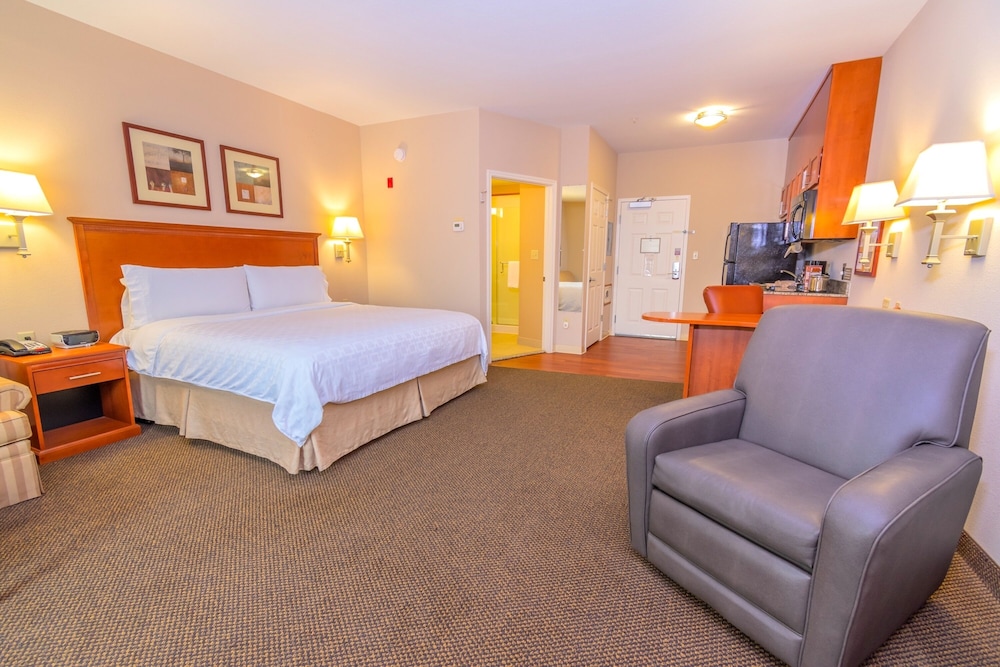Suite, 1 Bedroom (Living Area) - Photo 2