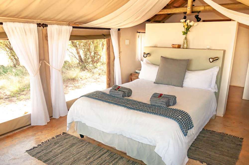 Honeymoon Tent, 1 Queen Bed, Mountain View photo 1