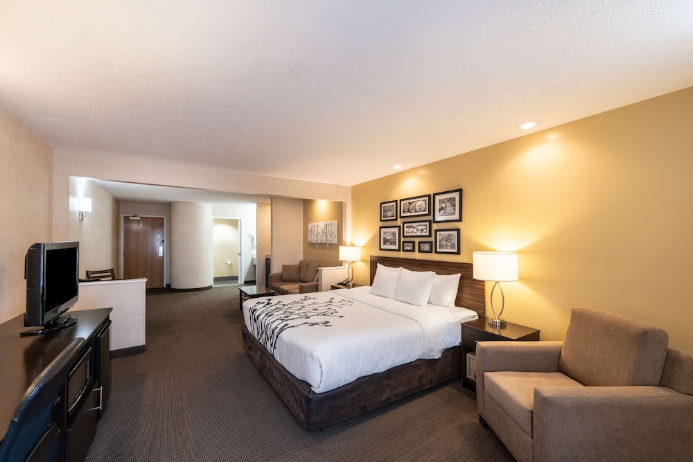 Suite, 1 King Bed, Non Smoking (Upgrade) - Photo 1