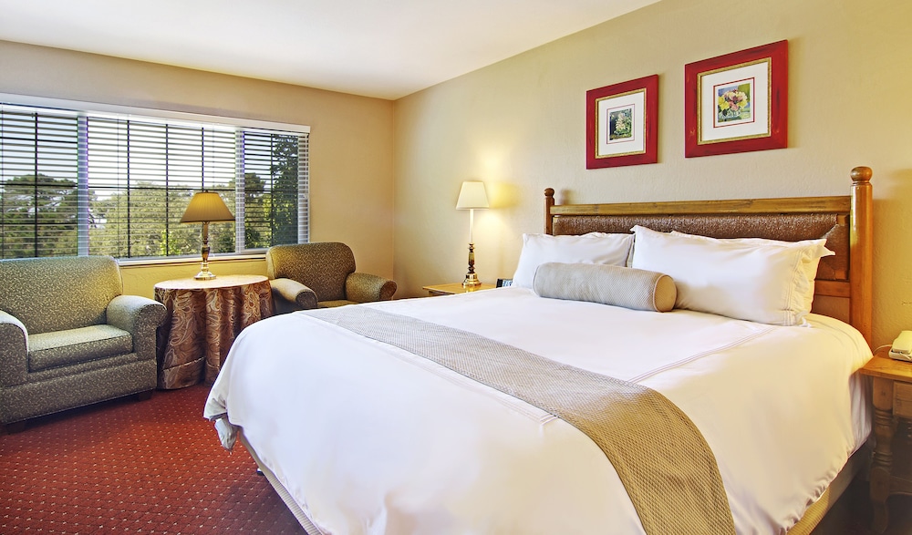 Economy Room, 1 Queen Bed (Pet Friendly)