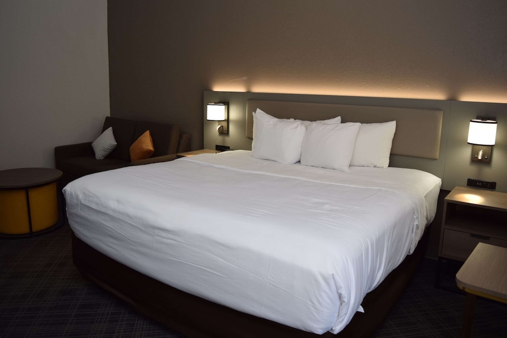 Suite, 1 King Bed with Sofa bed, Non Smoking (Upgrade)