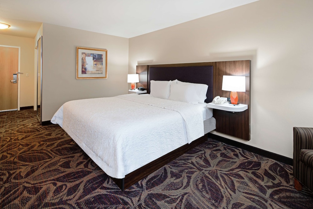 Room, 1 King Bed, Accessible - Photo 1