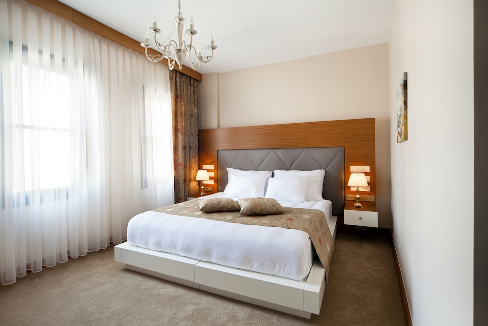 Executive Room photo 2