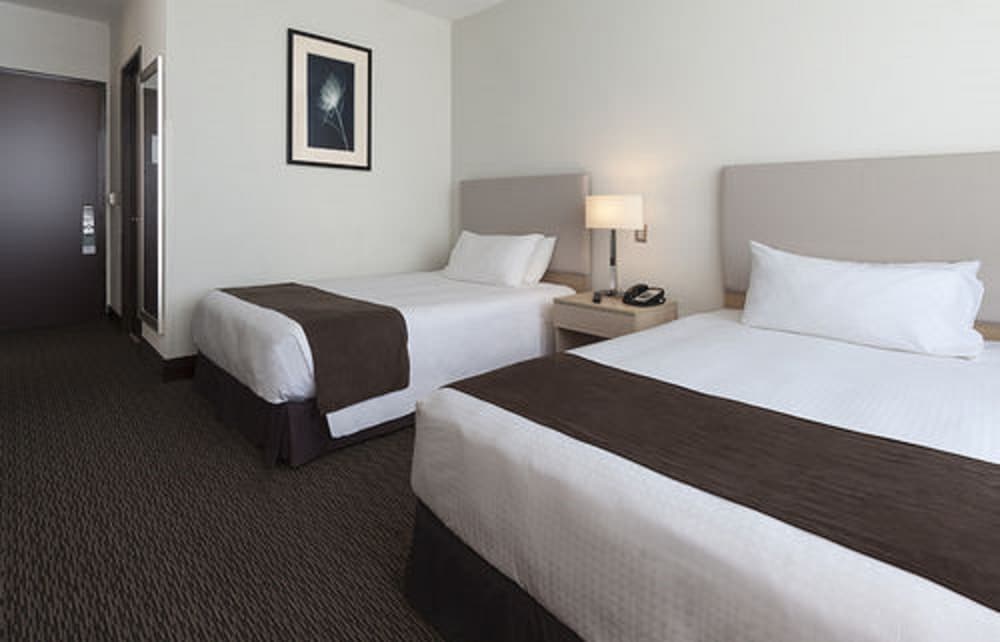 Standard Double Room, 2 Double Beds photo 2