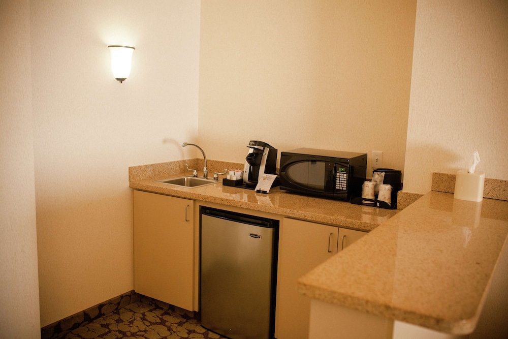 Suite, 1 King Bed photo 2