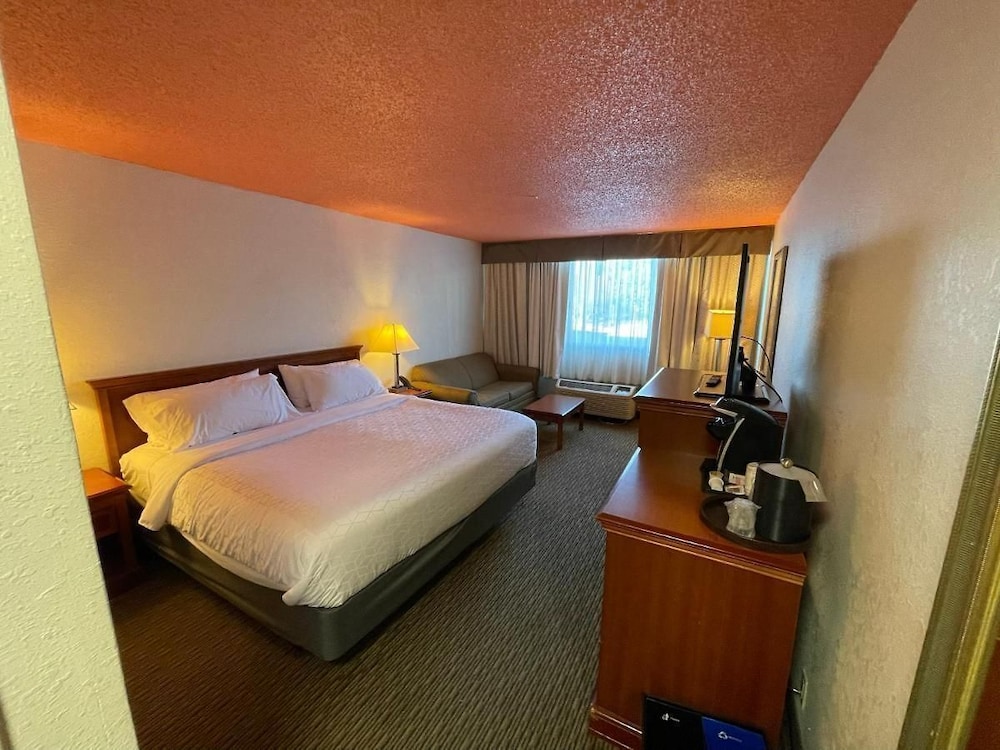 Single Room, 1 Queen Bed photo 2