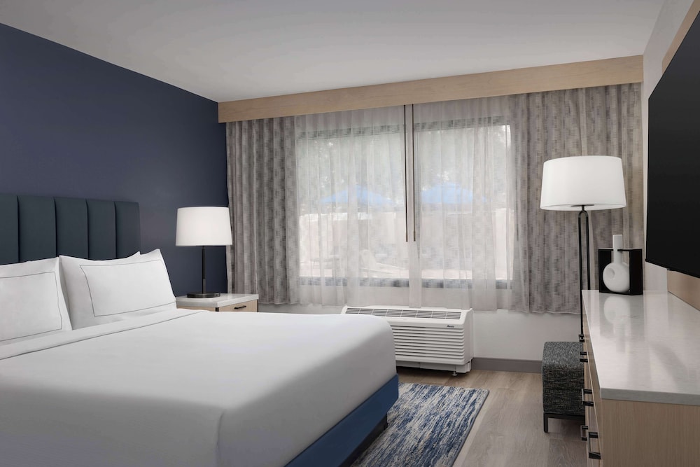 Suite, 1 King Bed - Photo 3