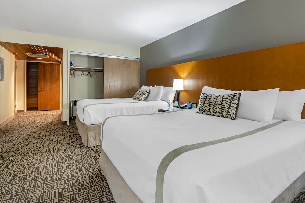 Suite, 2 Queen Beds, Refrigerator & Microwave (with Sofabed) - Photo 4