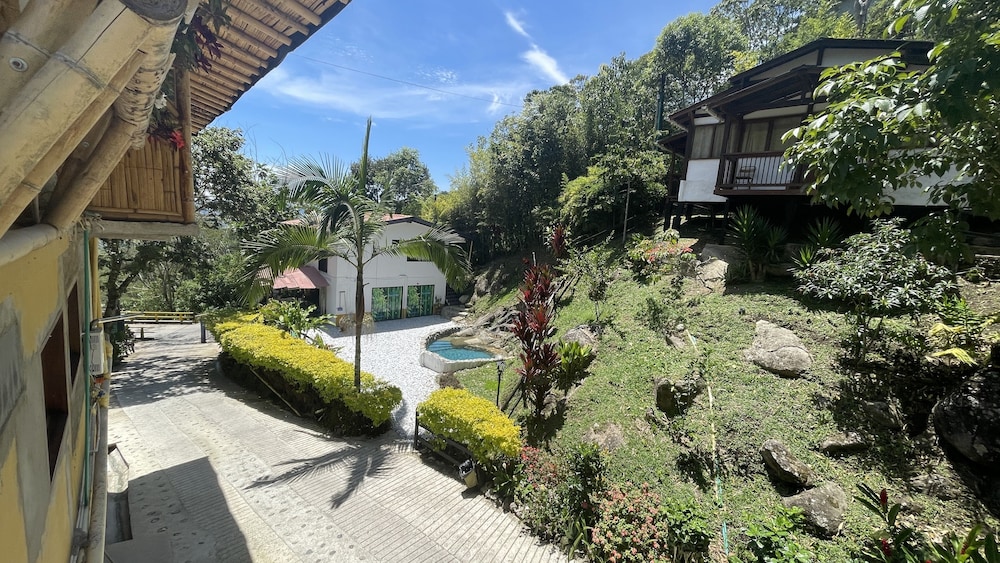 Panoramic Cabin photo 2