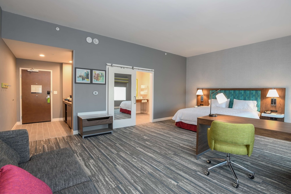Suite, 1 King Bed, Accessible - Photo 1