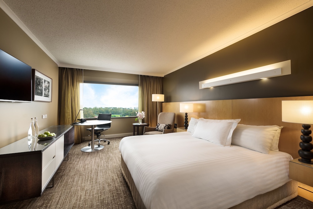 Deluxe King (High Floor)