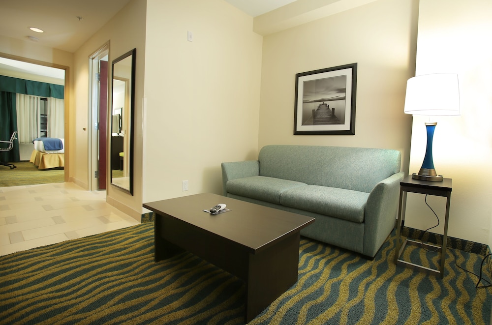Suite, 1 King Bed (Additional Living Area) photo 1