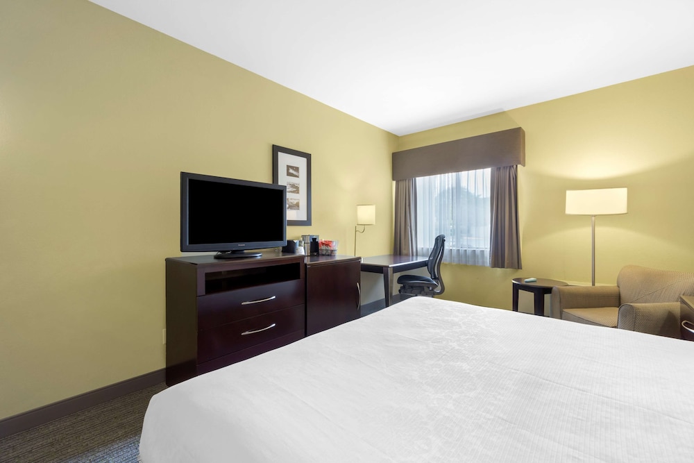 Standard Room, 1 King Bed, Non Smoking, Refrigerator - Photo 1