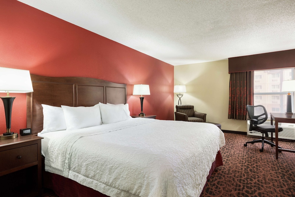 Room, 1 King Bed, Accessible - Photo 3