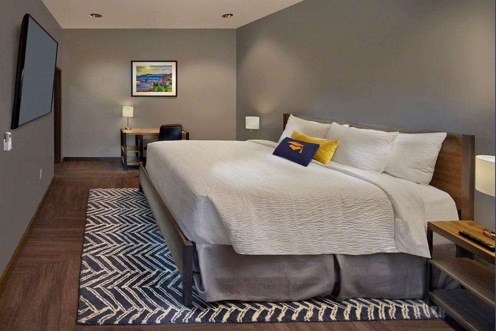 Suite, 1 King Bed, Accessible (Roll-In Shower)