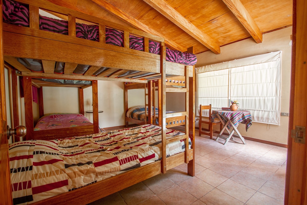 Standard Shared Dormitory photo 2