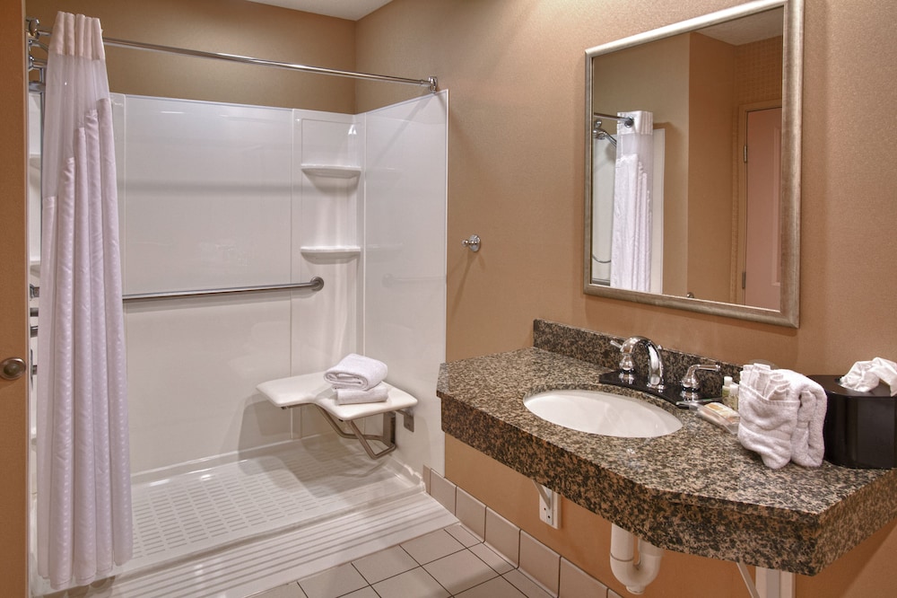 Standard Room, 1 King Bed, Accessible (Mobility, Roll-In Shower) photo 1