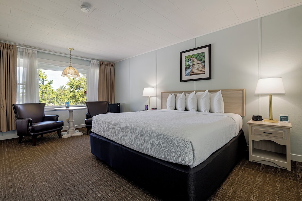Non-Smoking, Standard 1 King Bed (Maximum 2 People) photo 1