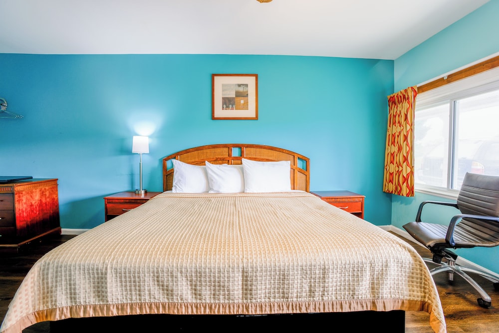 Room, 1 King Bed, Non Smoking photo 1