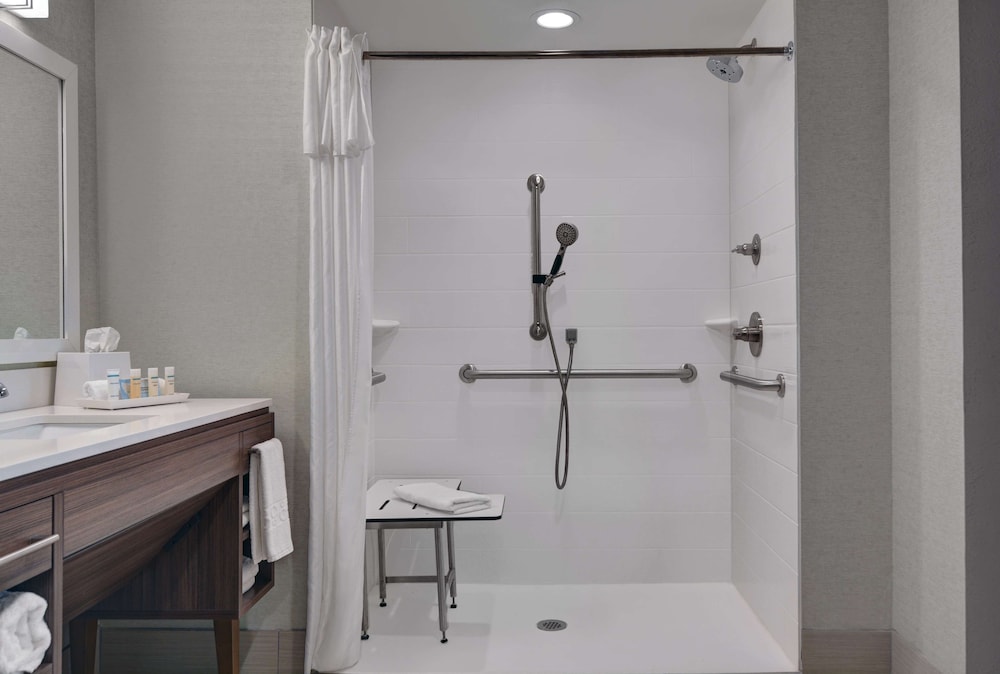 Suite, 1 King Bed, Accessible (Roll In Shower) - Photo 1