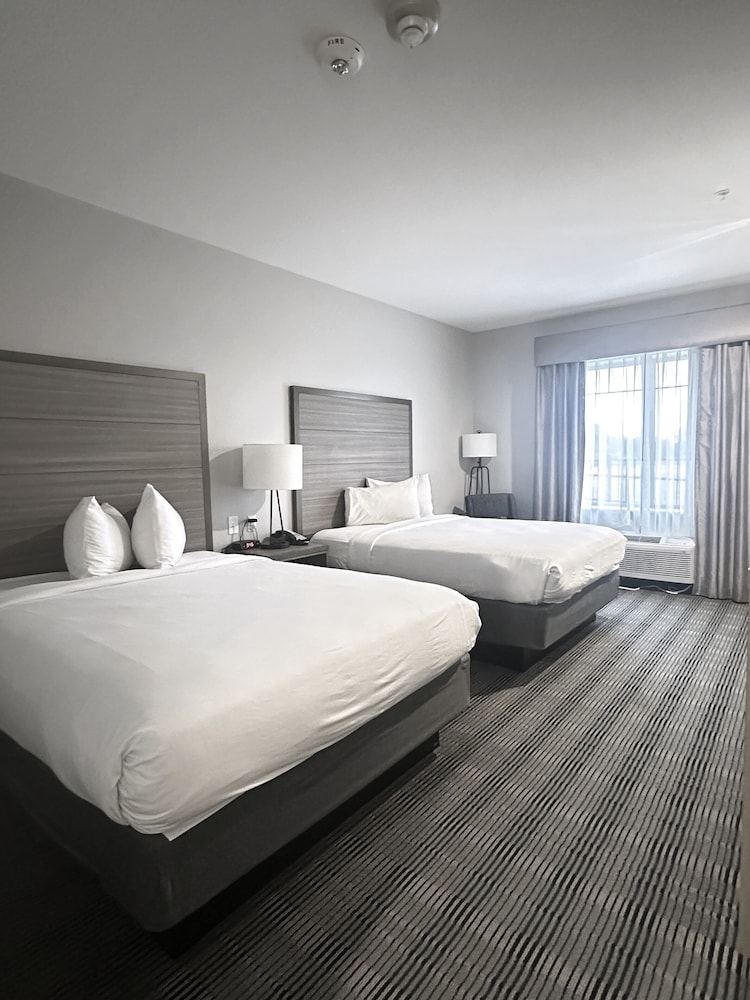Double Queen Beds - Photo 1