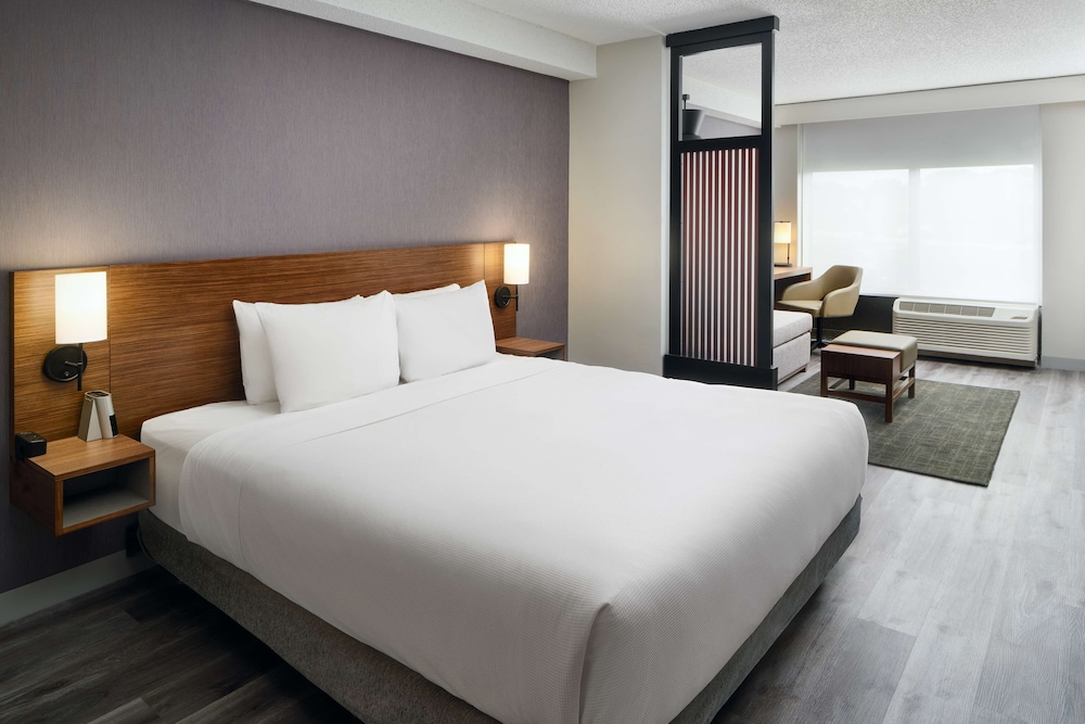 Room, 1 King Bed, Accessible (with Shower) - Photo 4