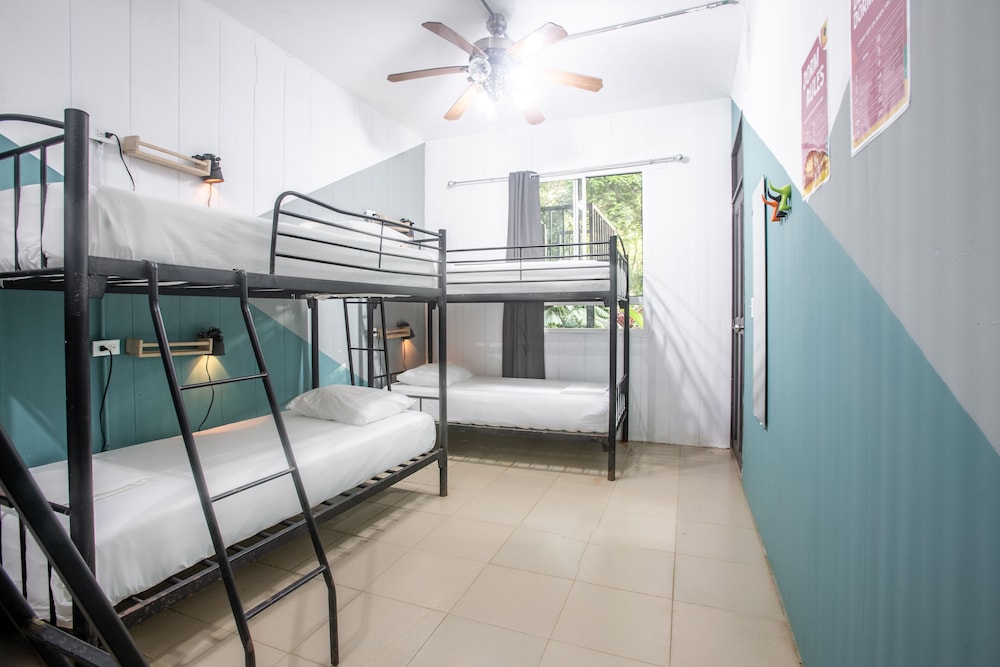 Bed In 4-Bed Dormitory Room