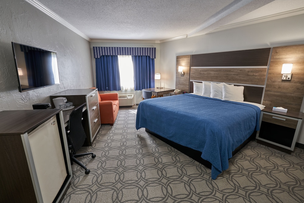 Family Suite photo 2