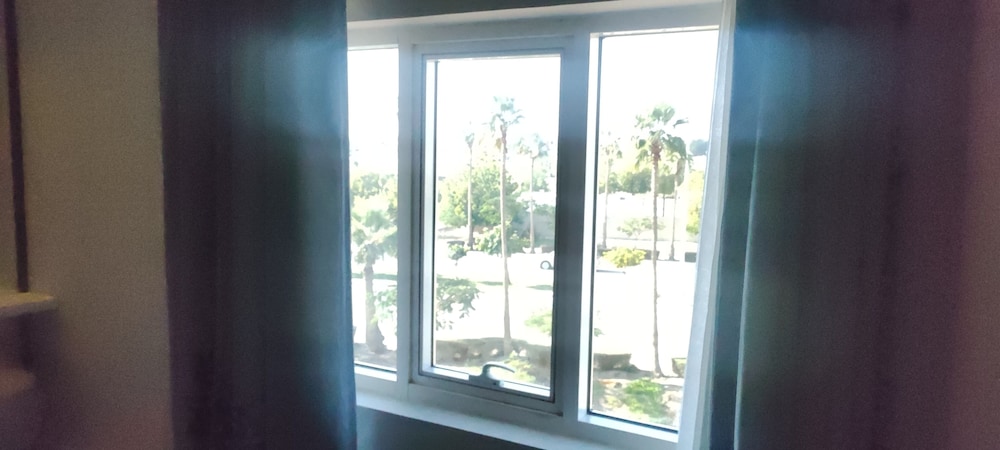 Executive Room, 1 King Bed, City View photo 3