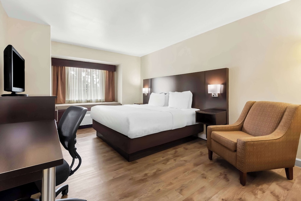 Standard Room, 1 King Bed, Accessible, Non Smoking - Photo 1