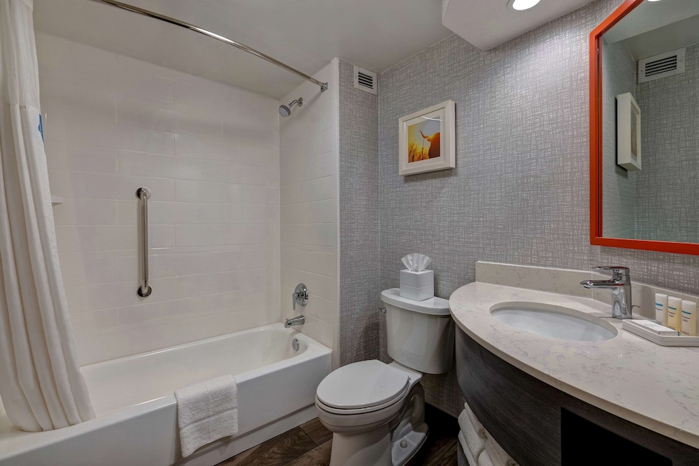 Room, 1 King Bed, Accessible (Mobility & Hearing, 3x3 Shower) - Photo 3