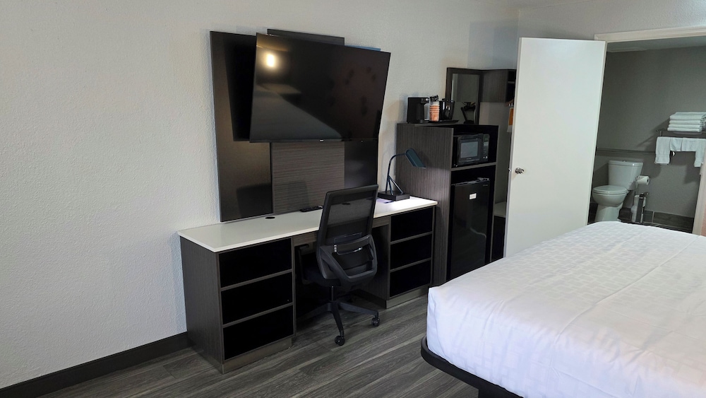 Room, 1 King Bed, Accessible, Non Smoking - Photo 5